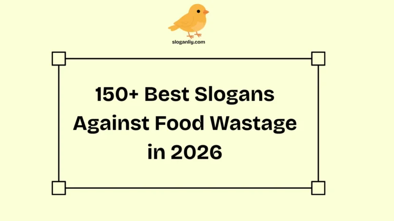 Best Slogans Against Food Wastage