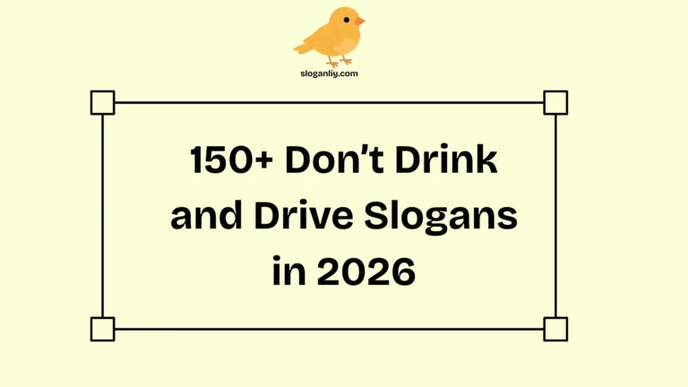 Don’t Drink and Drive Slogans